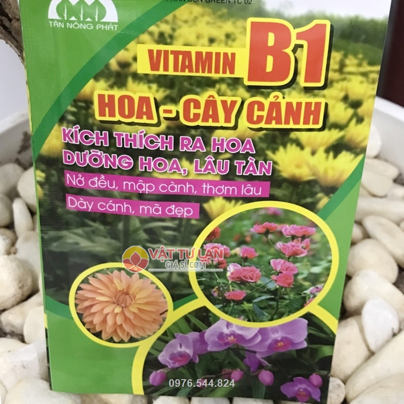 B1 giúp kích thích cây ra hoa nhiều hơn, màu sắc đẹp, hương thơm tự nhiên và dưỡng hoa lâu tàn